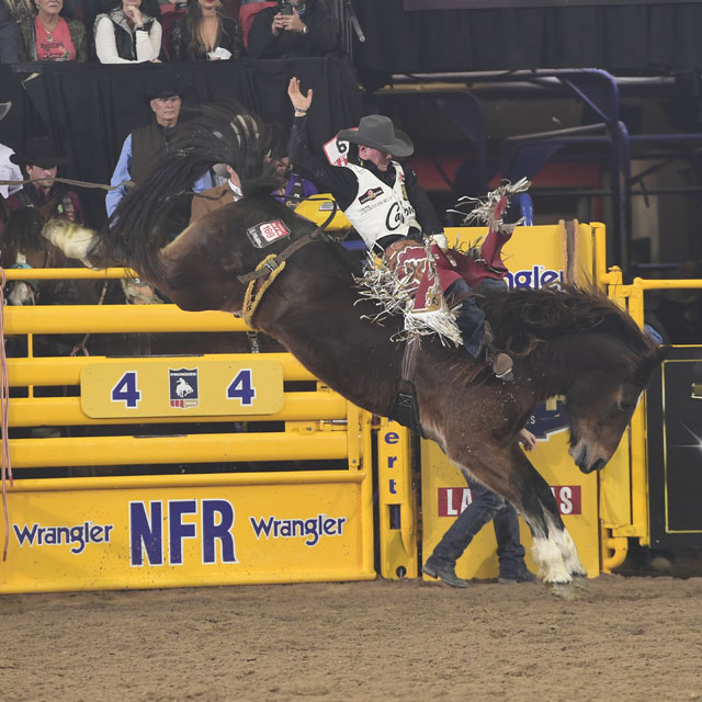 A cowboy riding a horse at a rodeo.